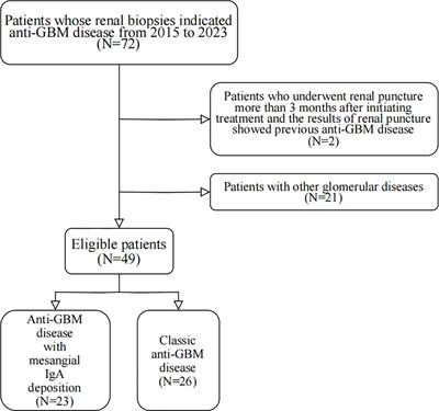 Clinical features and prognosis of patients with <mark class="highlighted">anti-GBM disease</mark> combined with mesangial IgA deposition